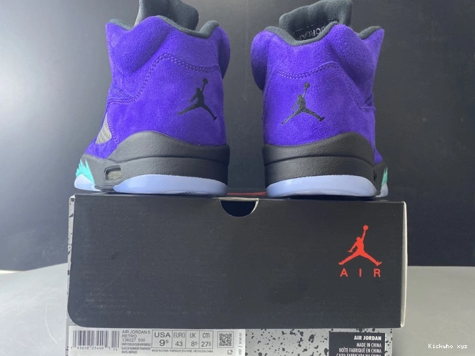 136027-500 Retro Jordan Air Alternate 5 Grape 0804